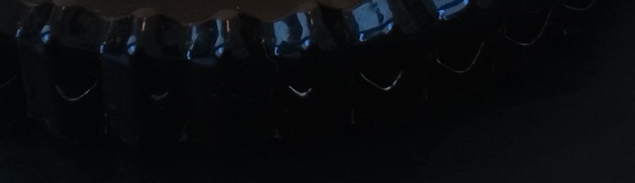 IMG 20251106 1100192