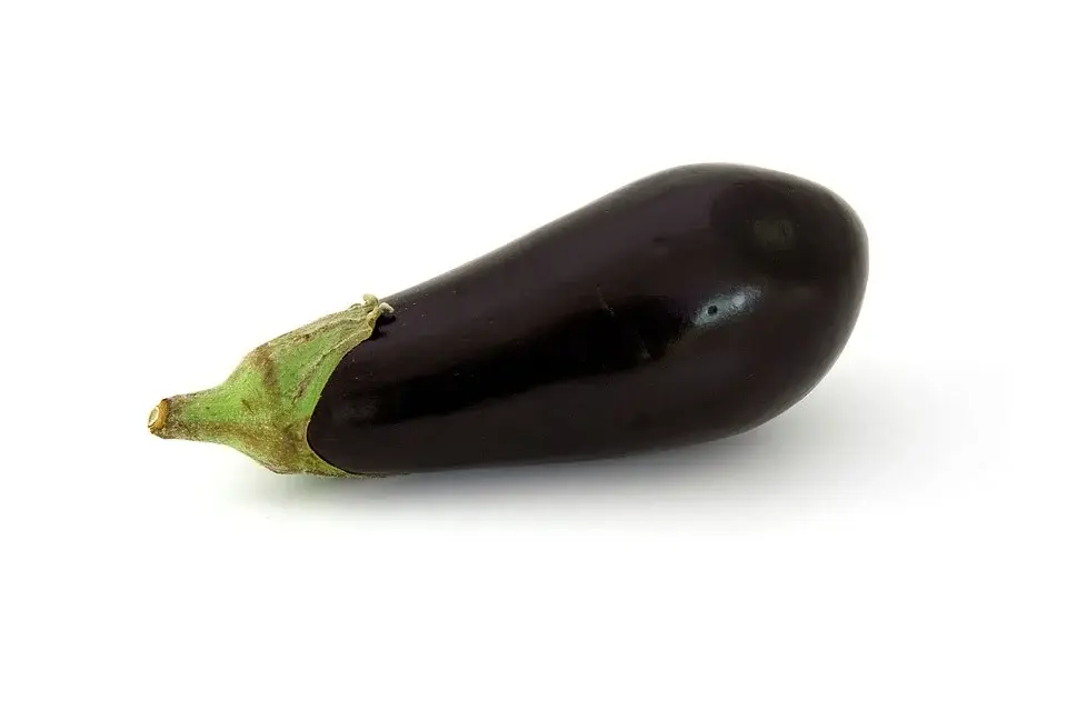 aubergine-1809 960 720.webp