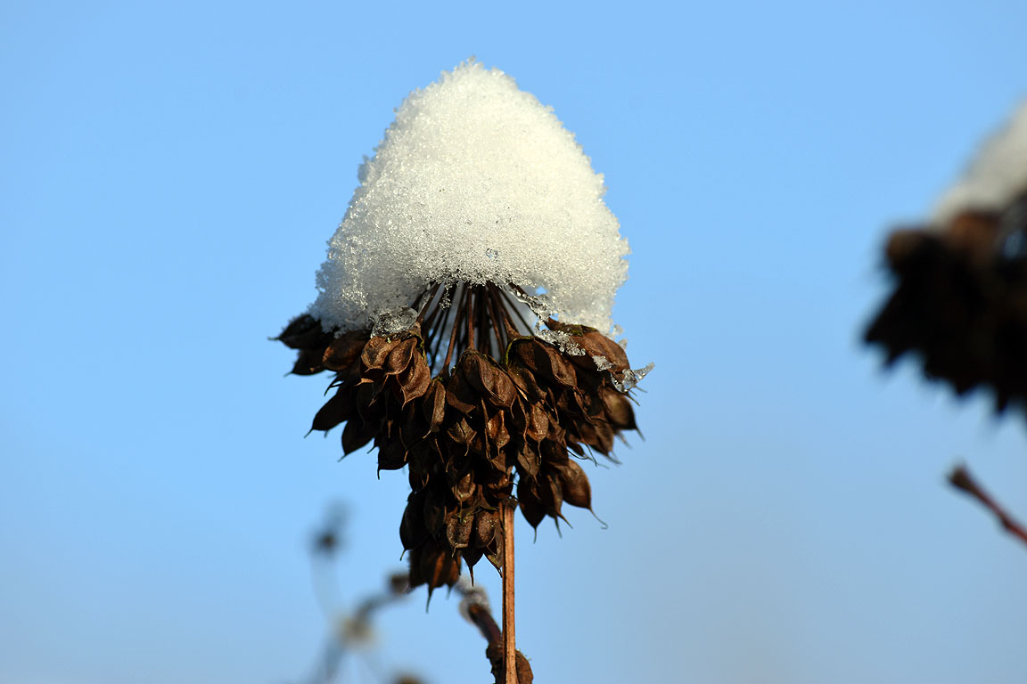 1e00fa1a-c81e-4b36-b54c-202c313bea10