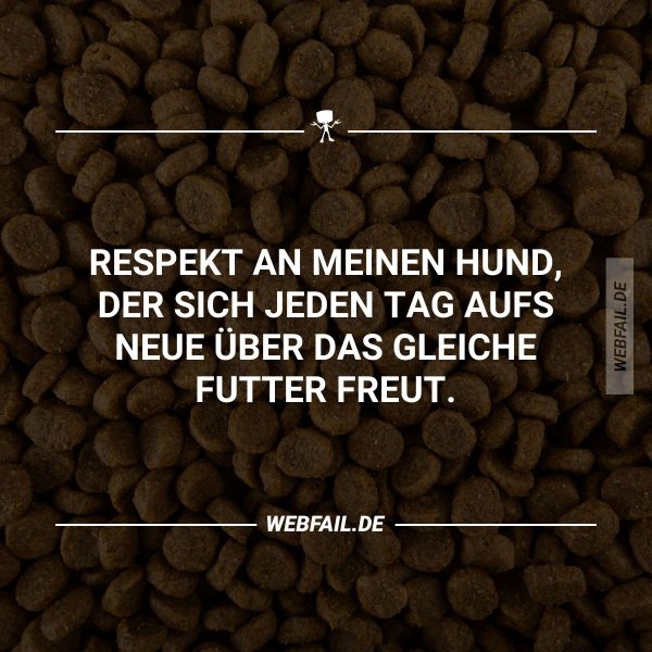 post2 - 2026-02-16T190728.734