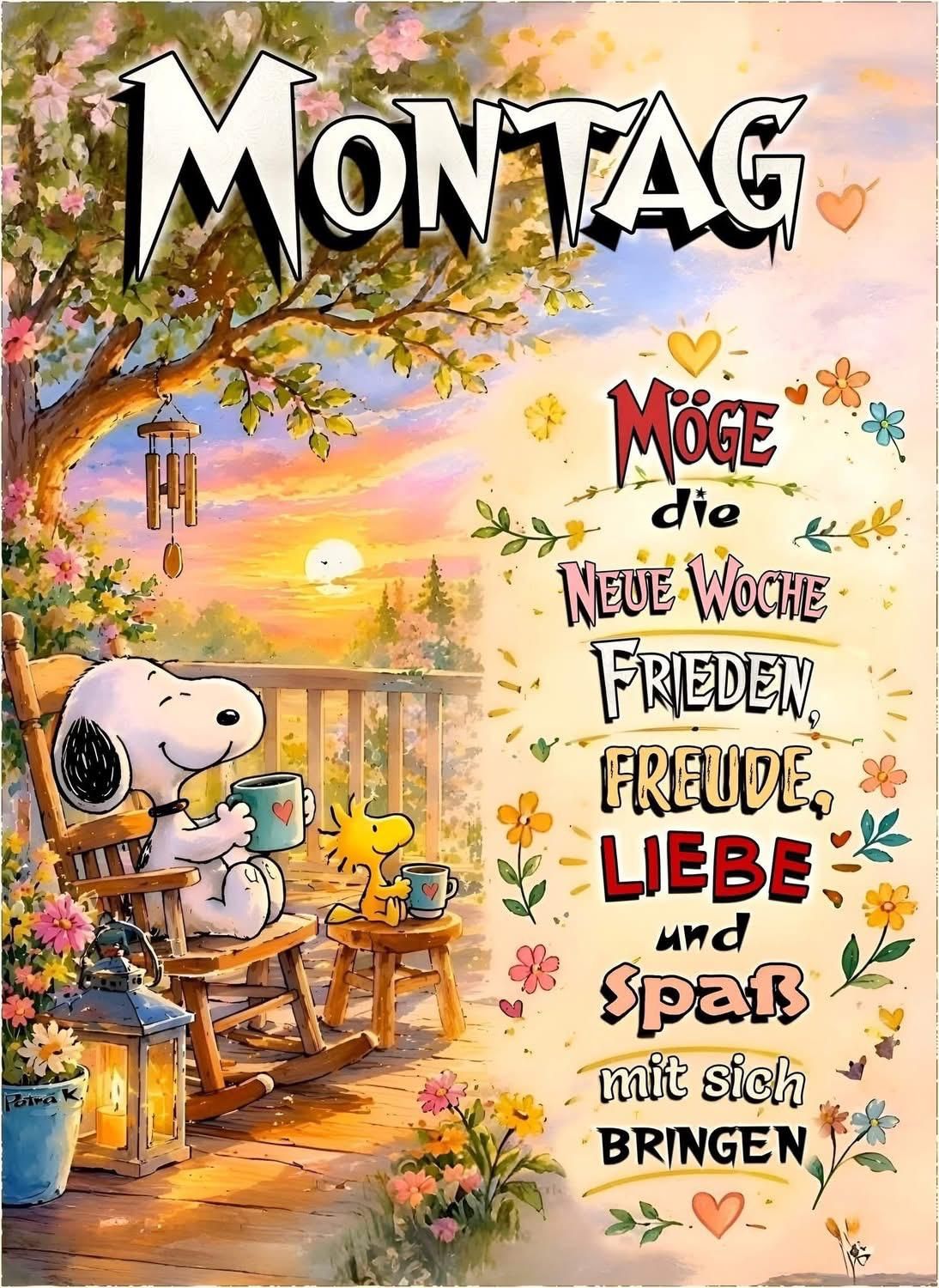 681158145 26909841615315944 805768529816