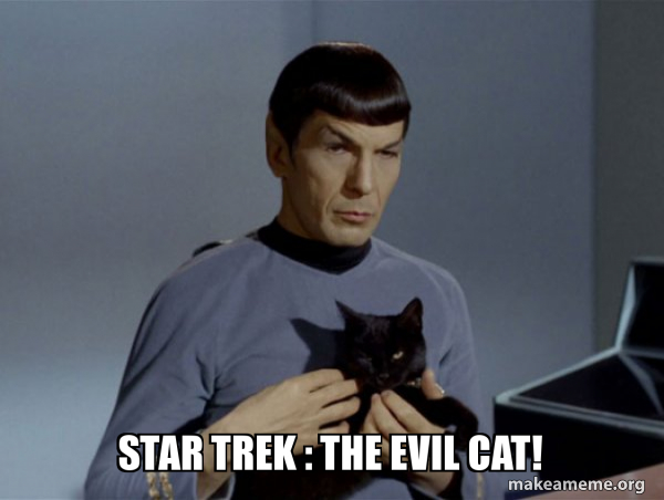 katzen sch - Copy