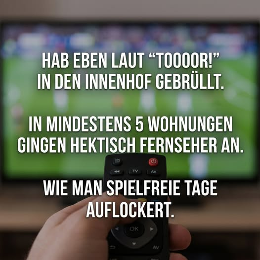 7358710-093a63dfe769f6b50e6aebf9e893b31c.webp