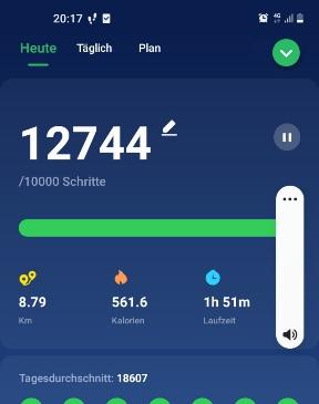 Screenshot 20211113-201751 Pedometer Ste