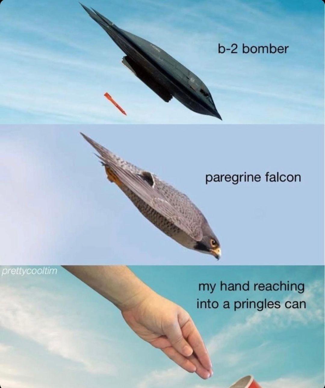 b-2-bomber-paregrine-falcon-my-hand-reac