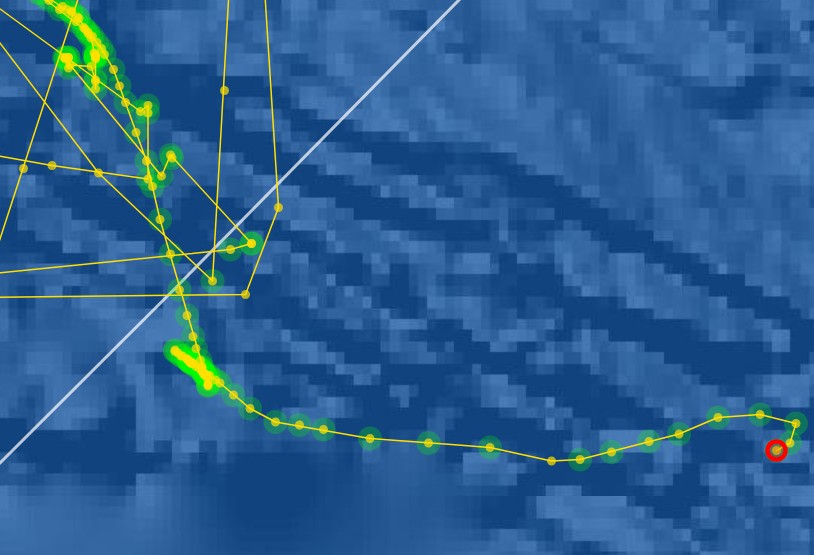 Screenshot 2026-01-19 220805