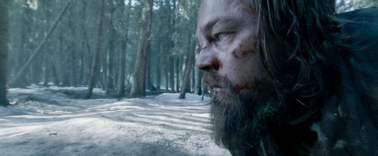 The Revenant 2015 A Inarritu - Copy