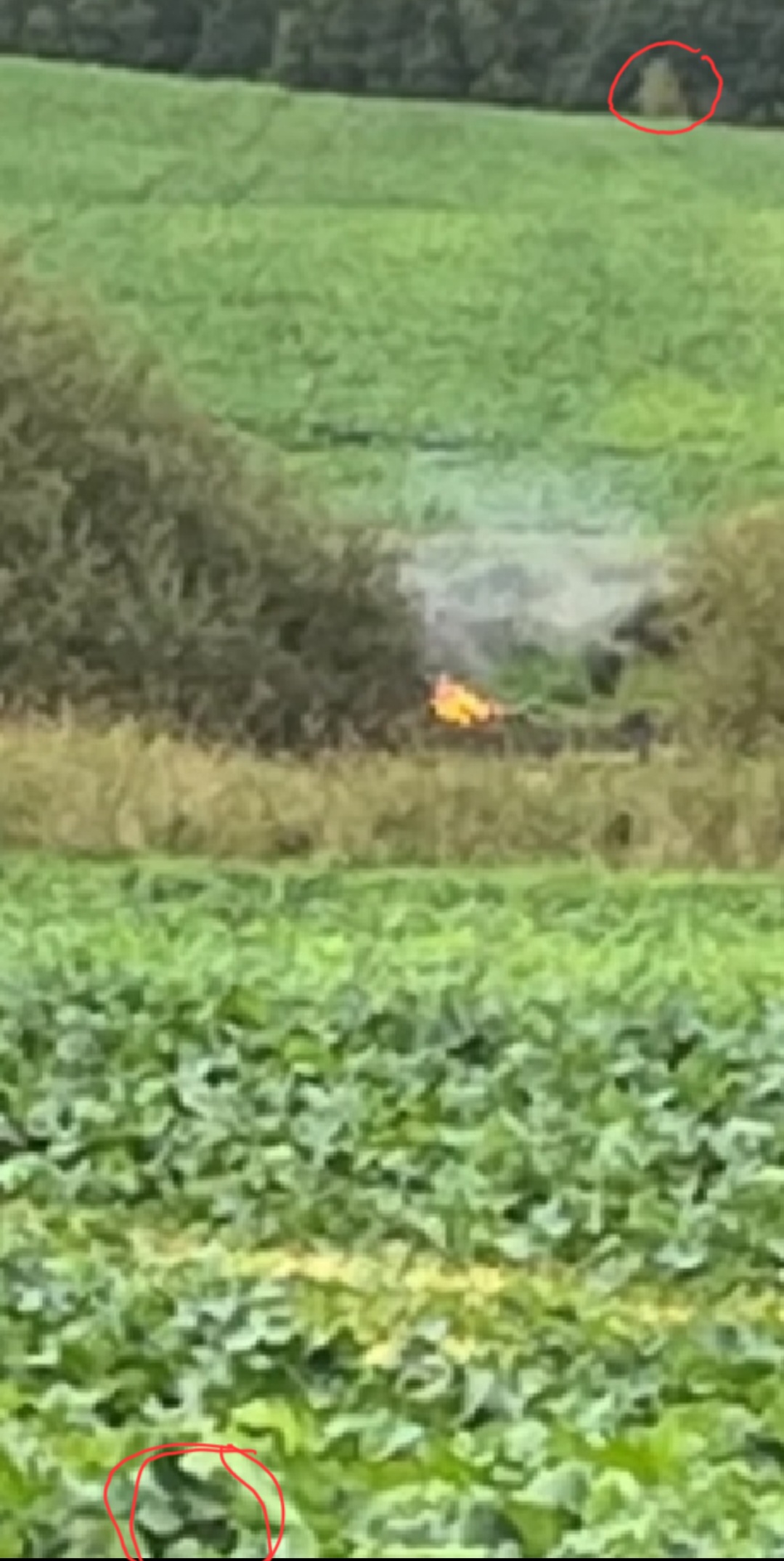 Screenshot 20251117-141032 Allmystery