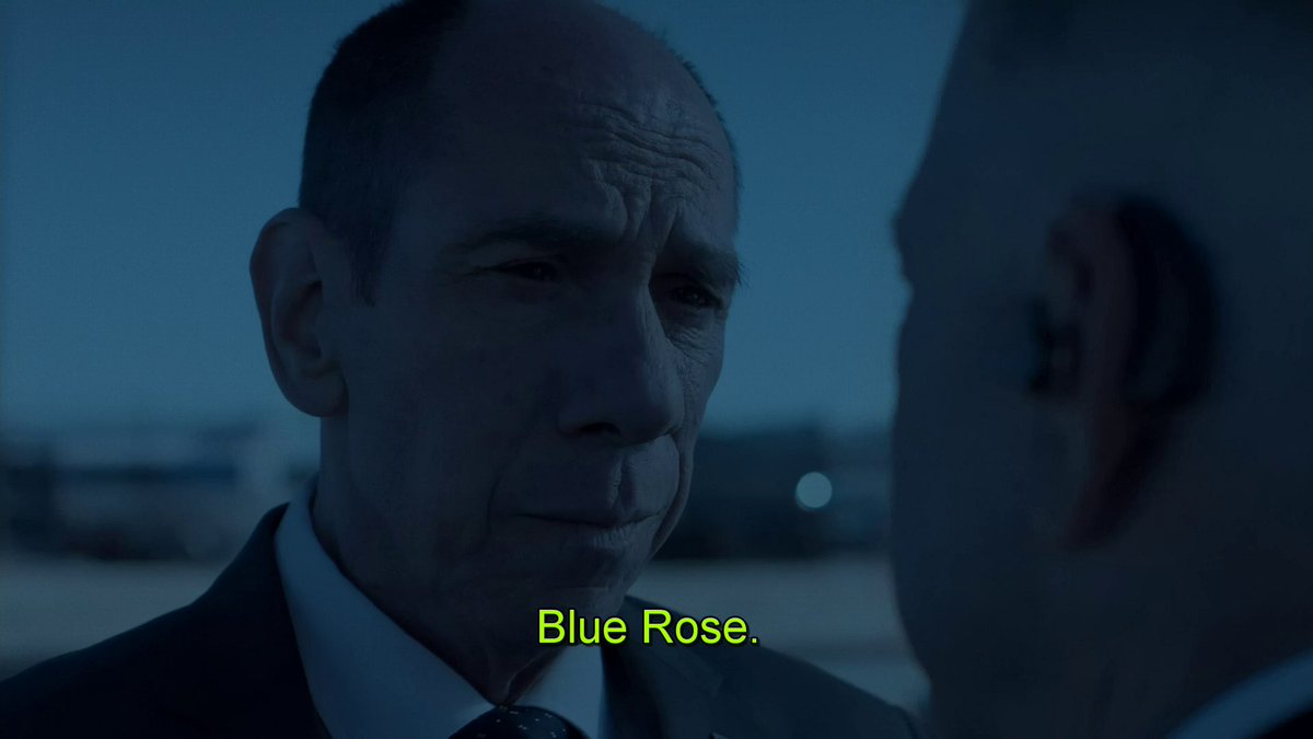 blue rose twinp - Copy