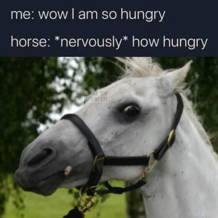 Hungry-1723018070613