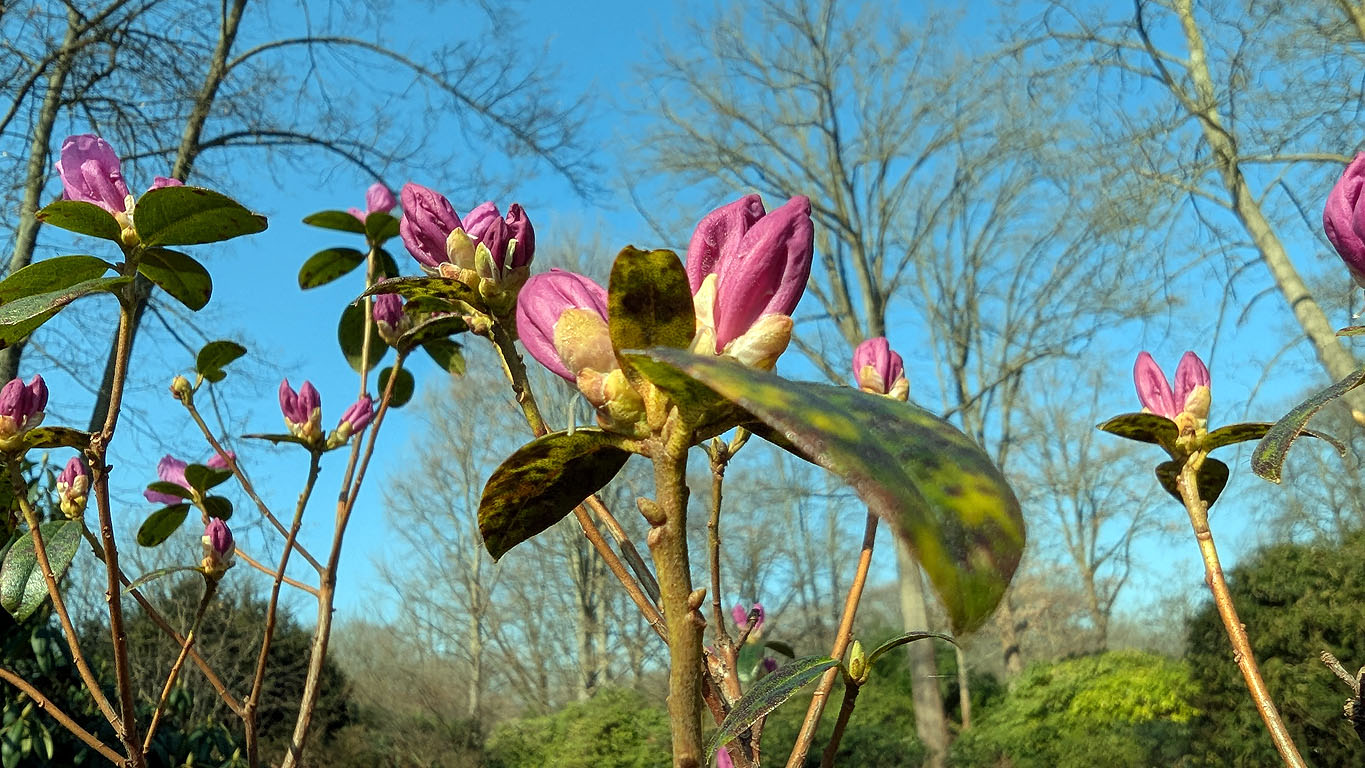 c4b24b0f-2094-406d-bf8f-3d3450bfb2c9