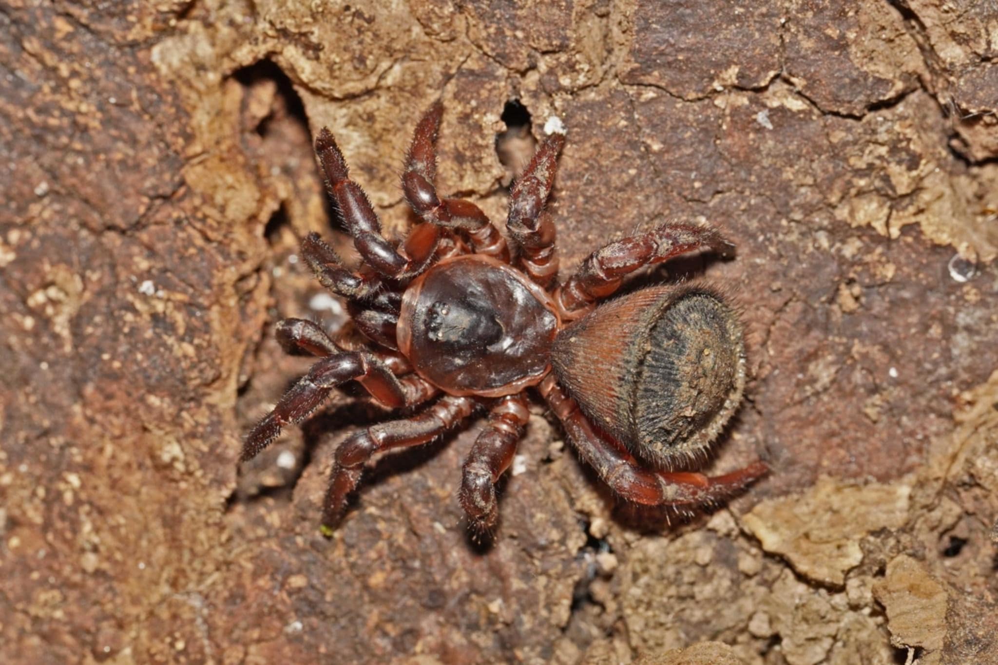 Messenger creation 7E81B365-0633-4A29-A3