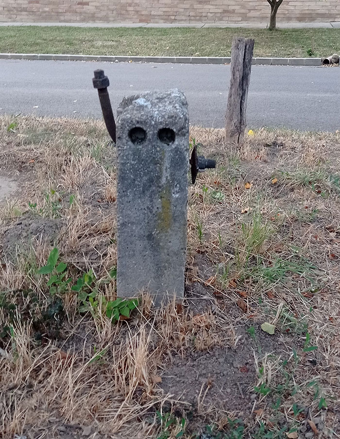 things-with-faces-pics-25-64cca3f3596b7 