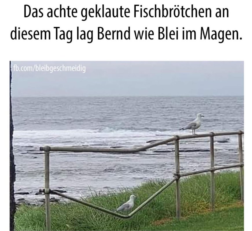 6981018-9f3b82522f750978dca0f07597de7eb7