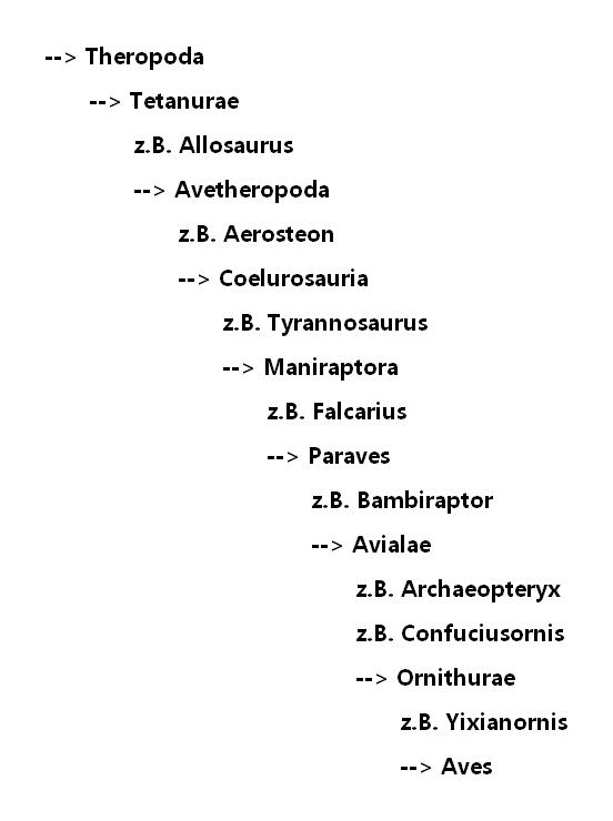 VogelEvo-Furcula-001-Klade