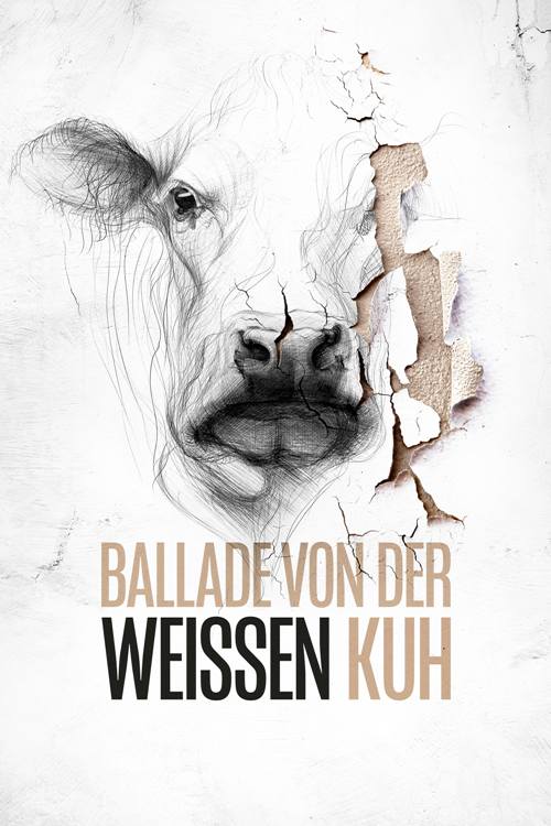 20250207 ballade-von-der-weien-kuh