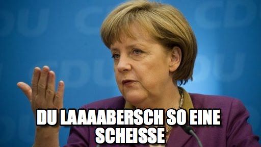 merkel sch - Copy