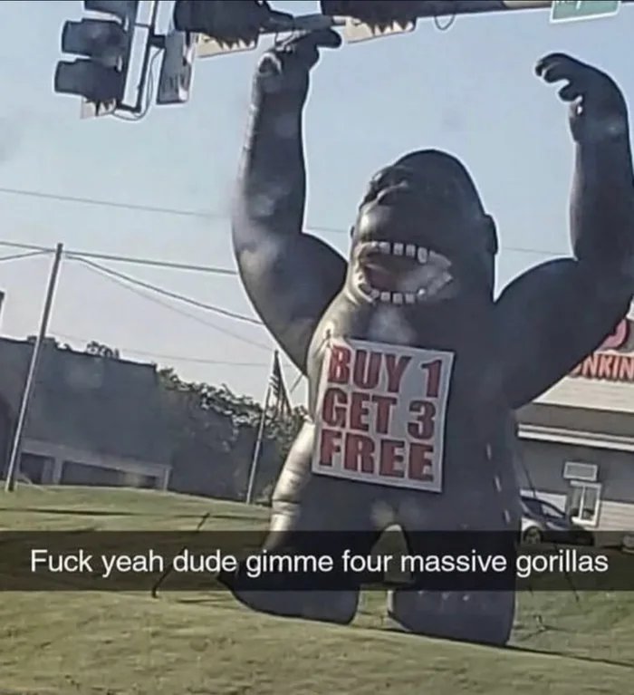 1000036543