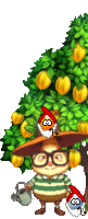 oie overlay