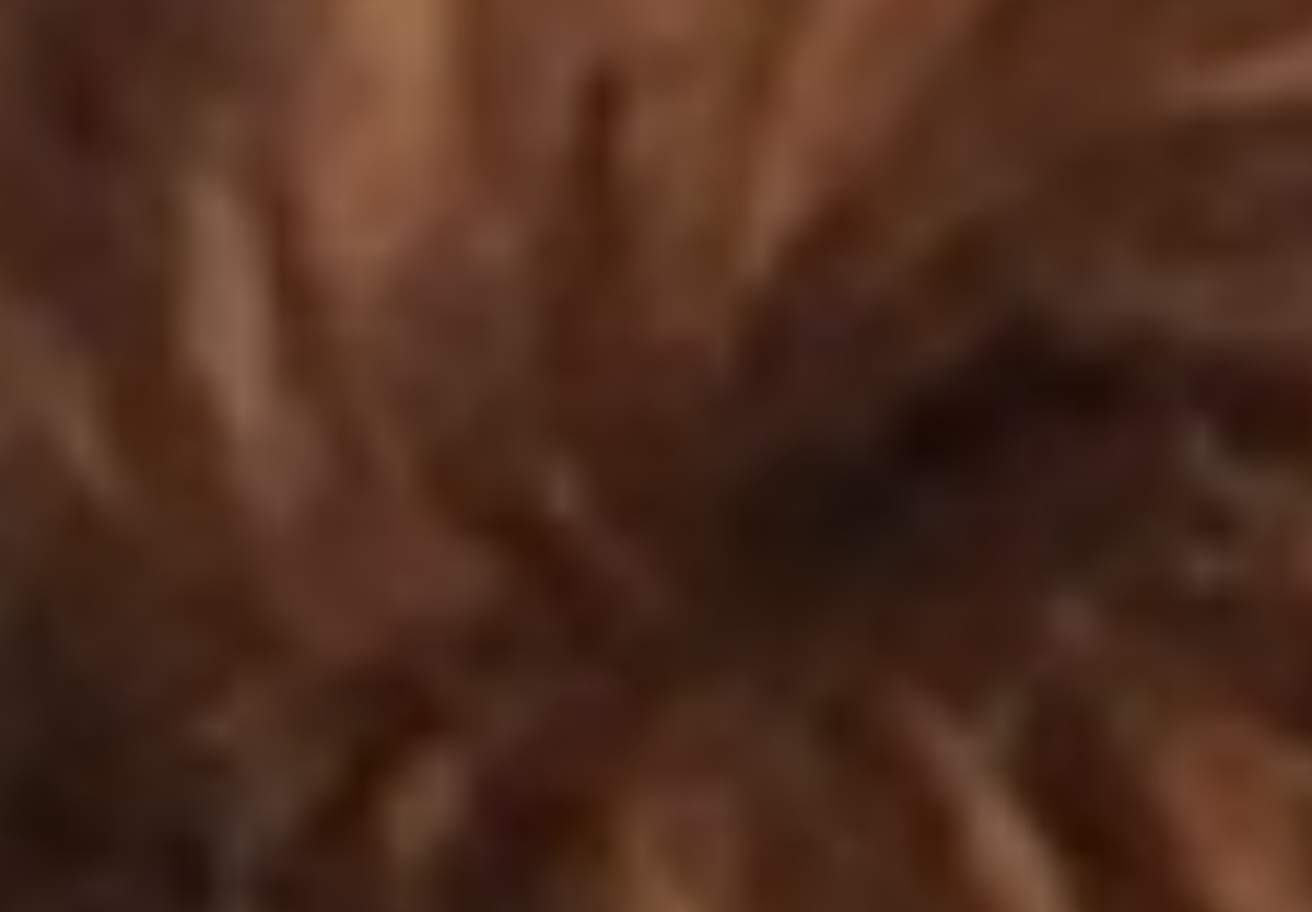 loyh1lcbq4ko IMG 1119.png conv
