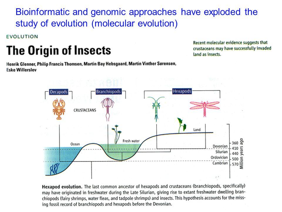 slide 13