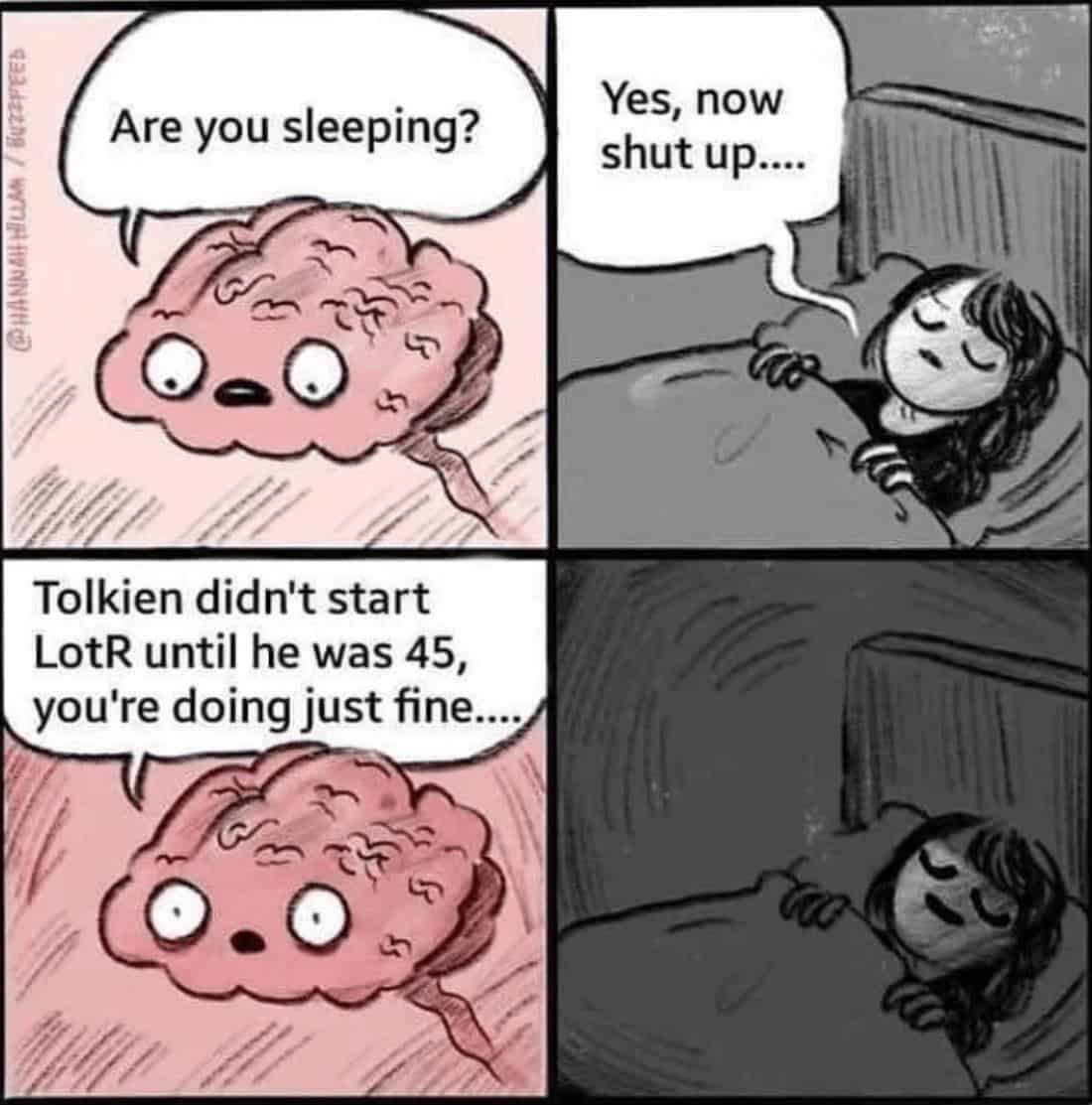 funniest-lord-of-the-rings-memes-13-1