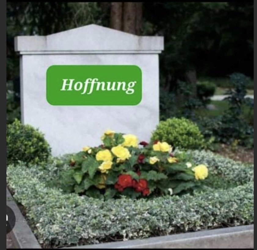 Screenshot 20260130 182109 Firefox