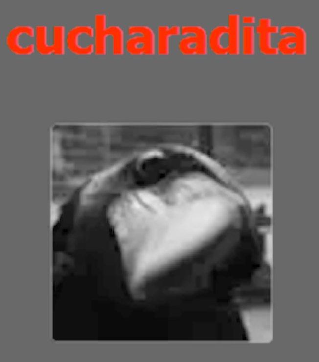 ava-cucharadita