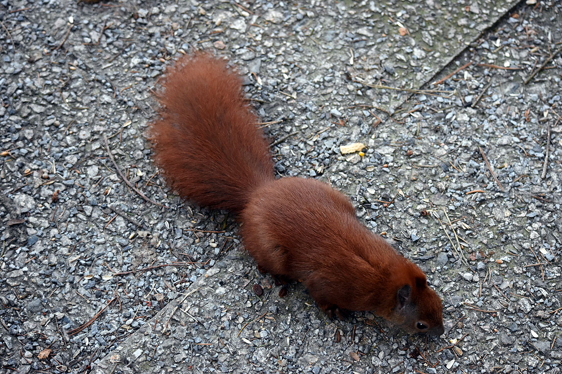 f6da6ce8-bfc8-4e52-b9f6-2b81d072395a