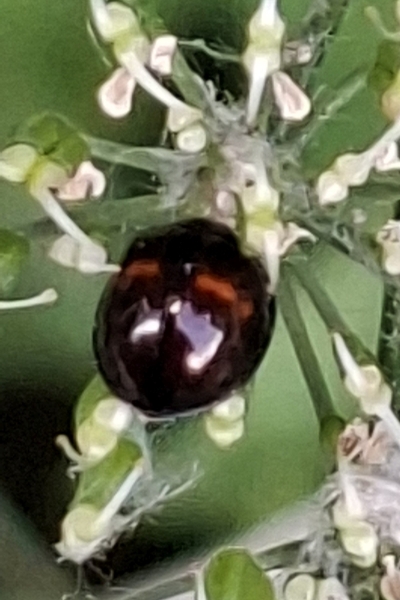 xx01