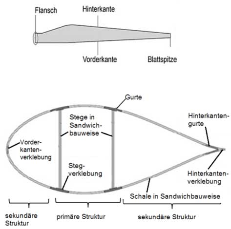 Blattstruktur