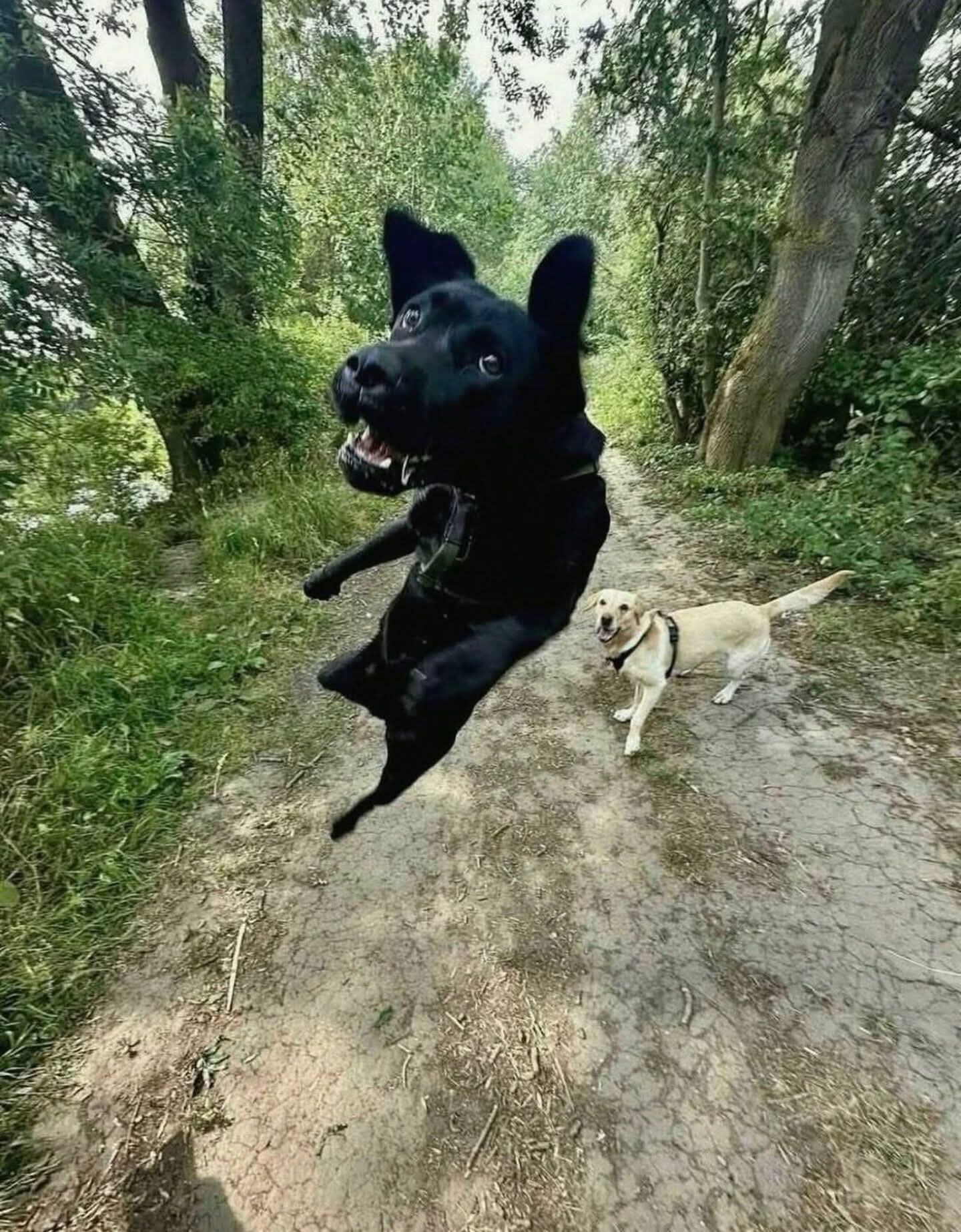 FB IMG 1766584970165