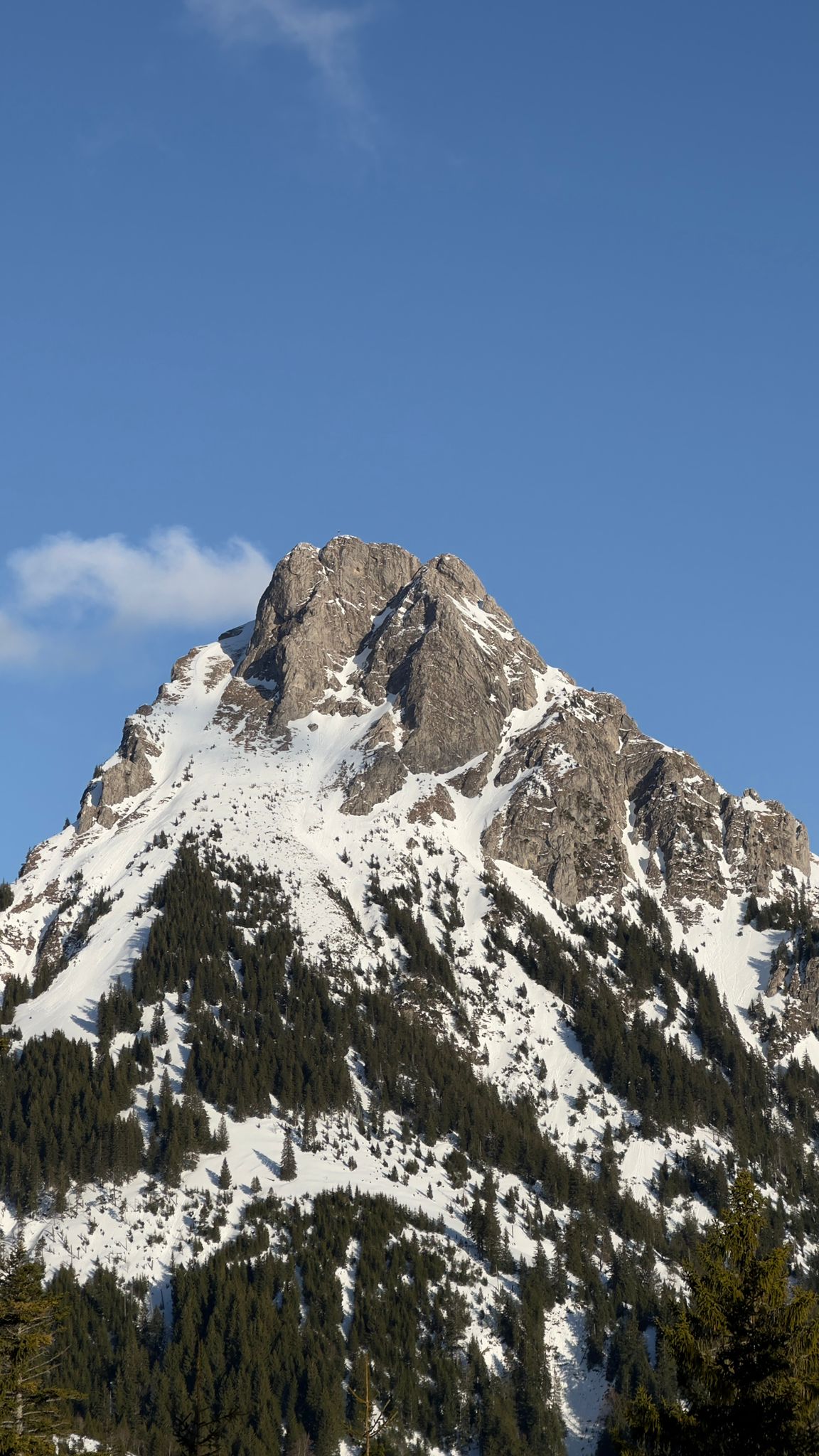 IMG-20260422-WA0024