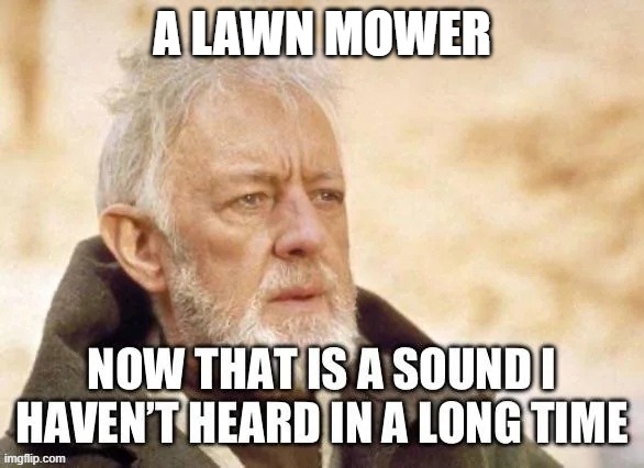 lawn