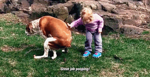 pooping gif - Copy