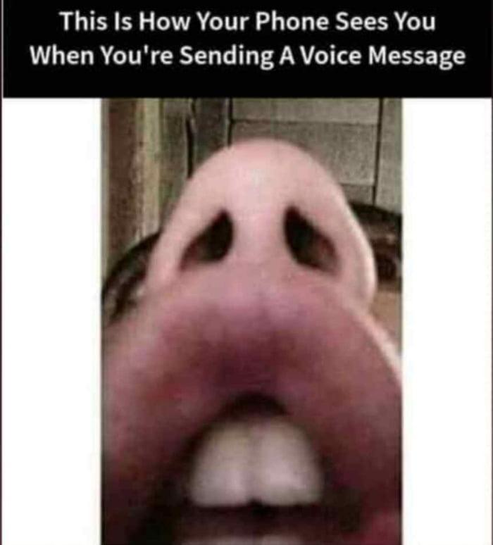 aQ1evrr 700b