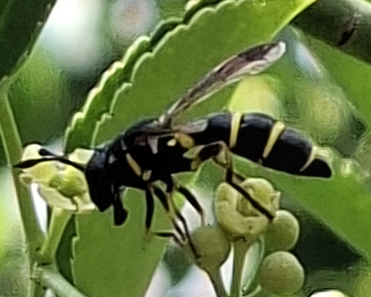 xx01