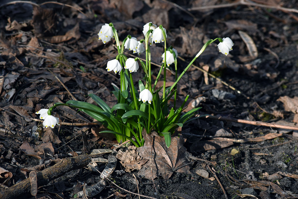 c98c0b29-c1e0-4cb7-90f0-bbd548eb977d