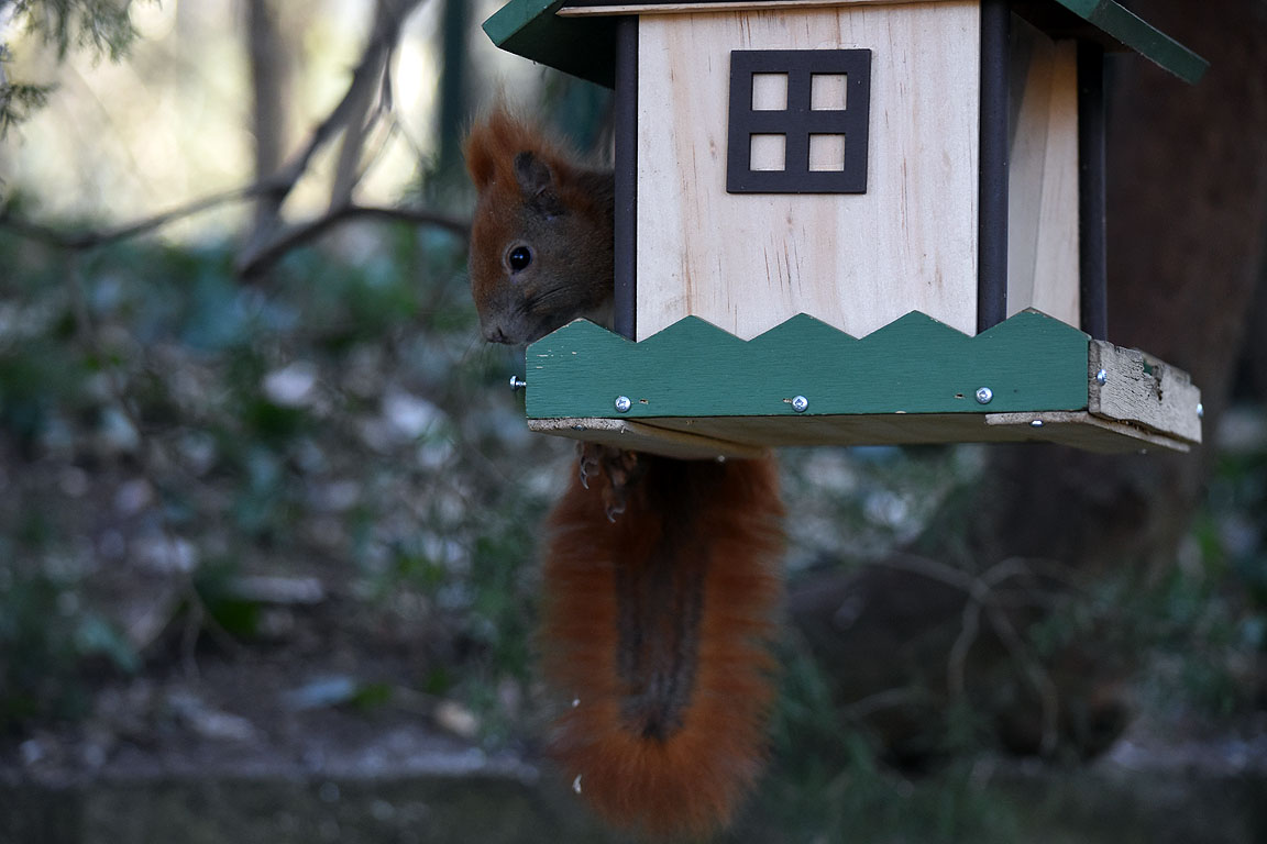 3aba7627-0a44-42ce-a7f7-55b4999ef869