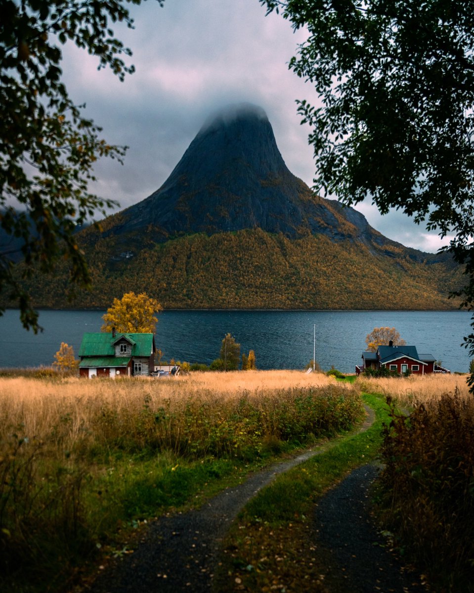 nord norv - Copy