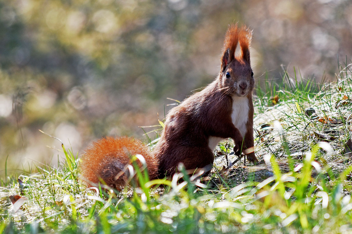 19d758fc-4129-4f27-a13d-d0553a6afea8