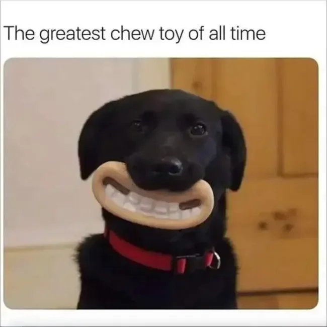 1000032961