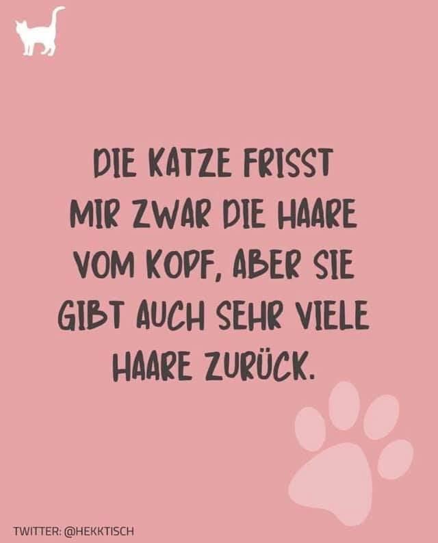 FB IMG 1591529161916