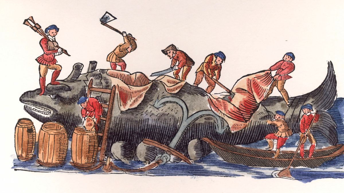 187d90e5-4a8d-41e3-8dc5-c9372e0ab486 w12