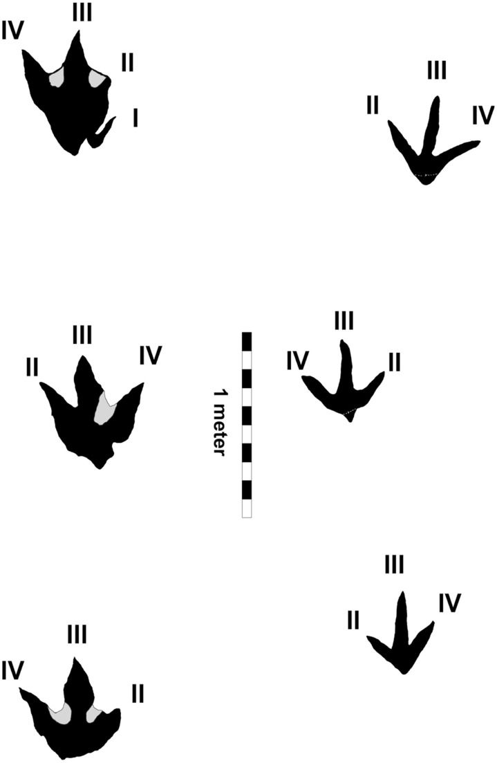 X01