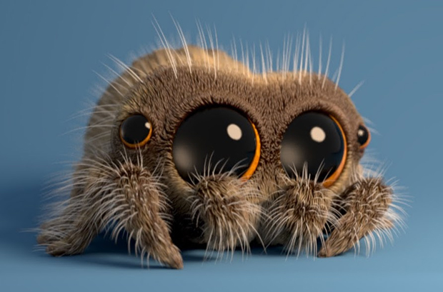 lucas-the-spider-post