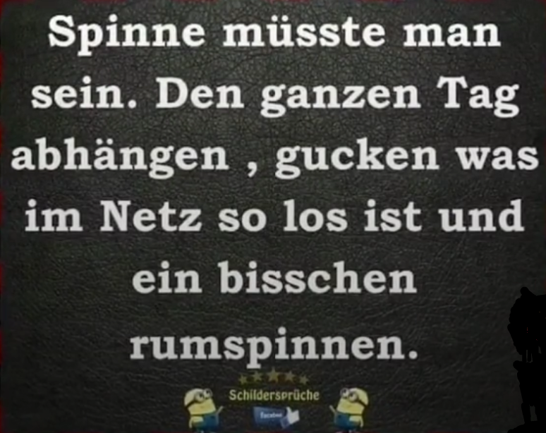 Lustige Sprüche (Seite 38) - Allmystery