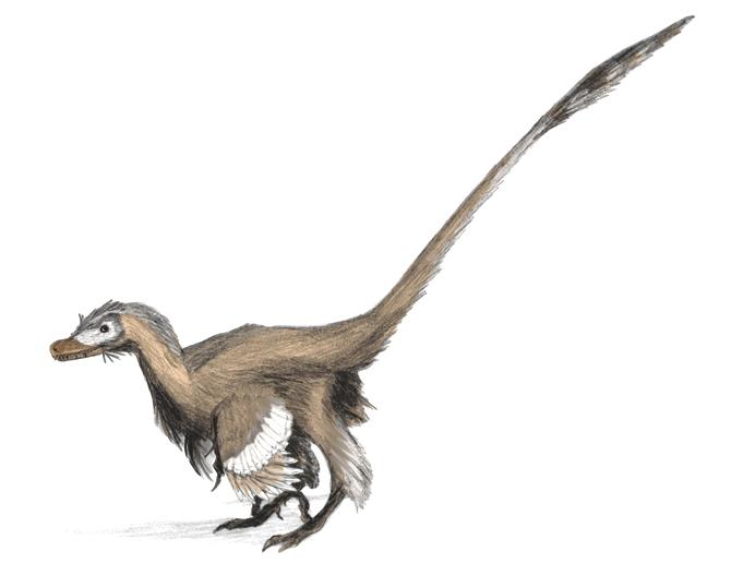 Velociraptor dinoguy2
