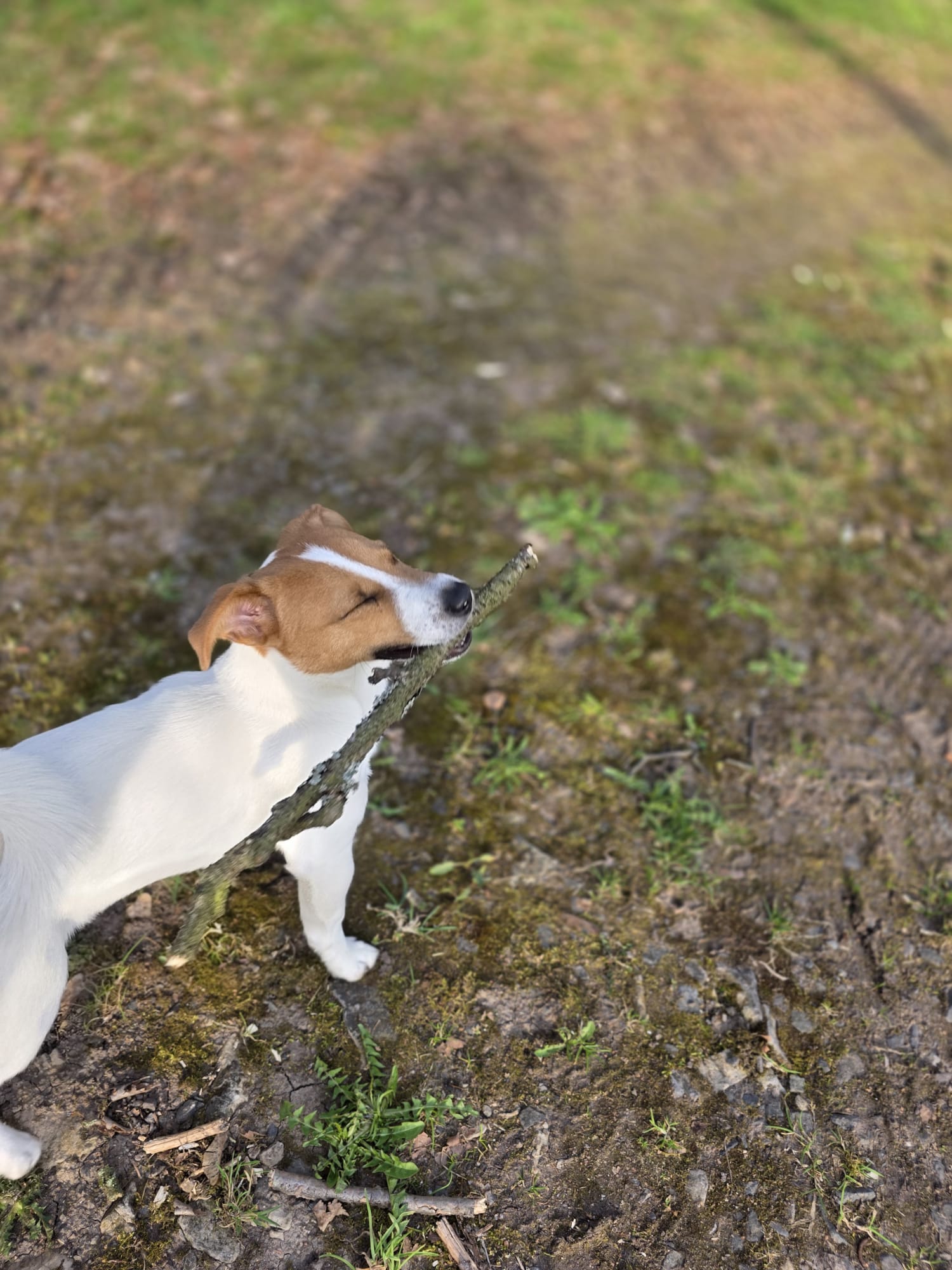 WhatsApp Image 2026-03-08 at 16.21.47