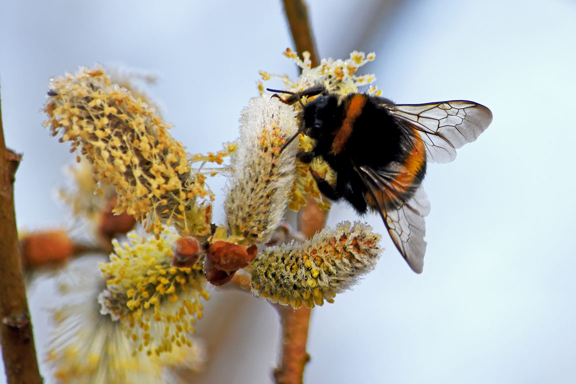 e94b33f6-d432-4293-9e76-516610317a25